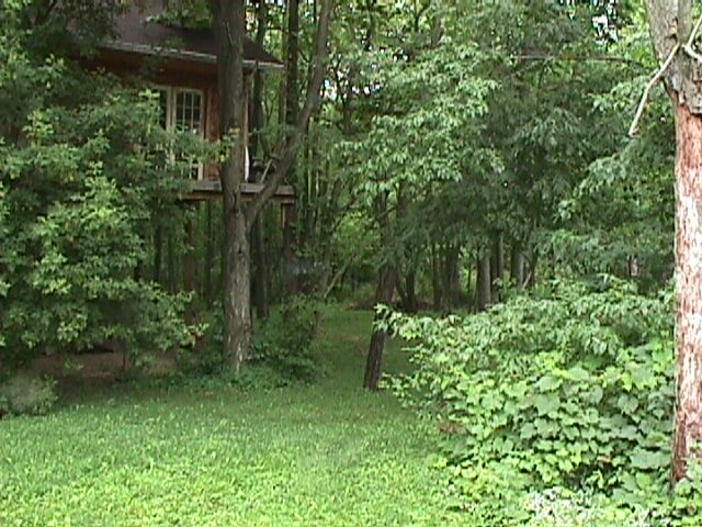treehouse.JPG